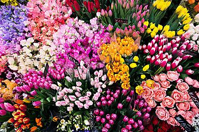 FANTHFUL《破晓传说》官方正版授权系列周边产品